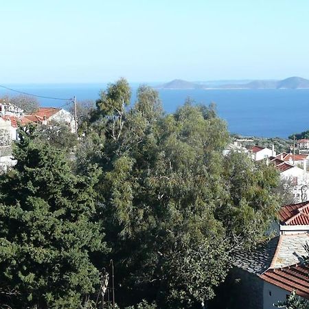 Magnolia Apartment Αλόννησος Εξωτερικό φωτογραφία