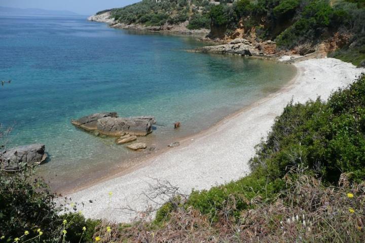Magnolia Apartment Αλόννησος Εξωτερικό φωτογραφία