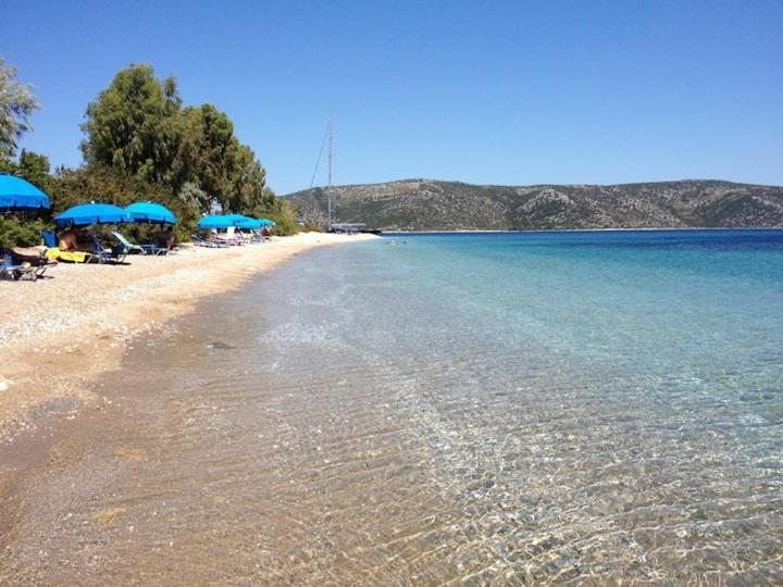 Magnolia Apartment Αλόννησος Εξωτερικό φωτογραφία