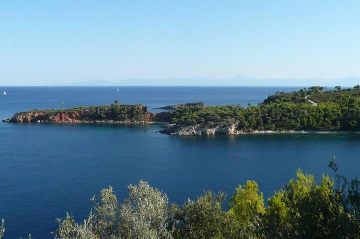Magnolia Apartment Αλόννησος Εξωτερικό φωτογραφία