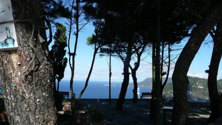 Magnolia Apartment Αλόννησος Εξωτερικό φωτογραφία